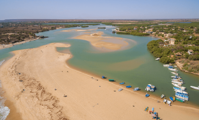 Capture (11)